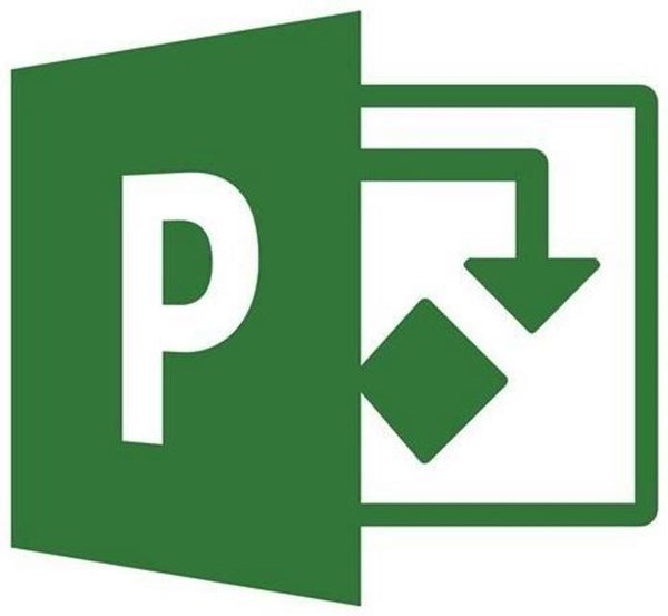 Curso de Microsoft Project 2020®